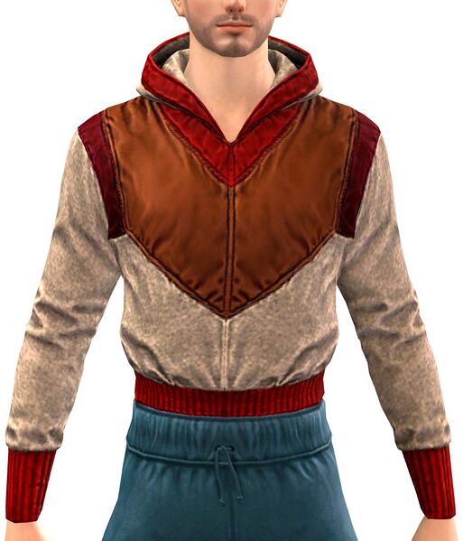File:Hooded Windbreaker (Down).jpg