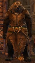 Kodan Landspeaker 2.jpg