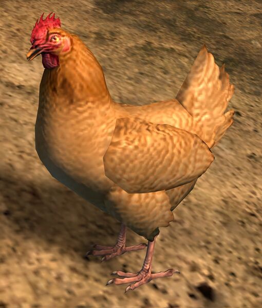 File:Light Brown Chicken.jpg