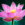 Lotus Flower.png