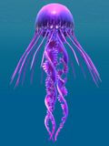 Medusoid Stinger.jpg