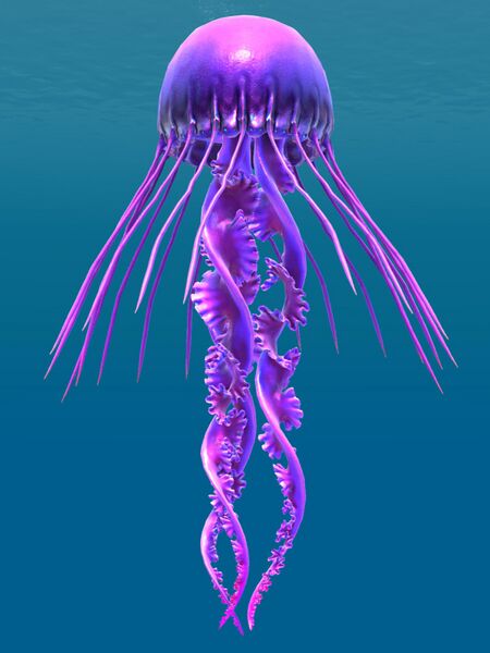 File:Medusoid Stinger.jpg
