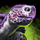 Mini White and Purple Turtle Hatchling.png