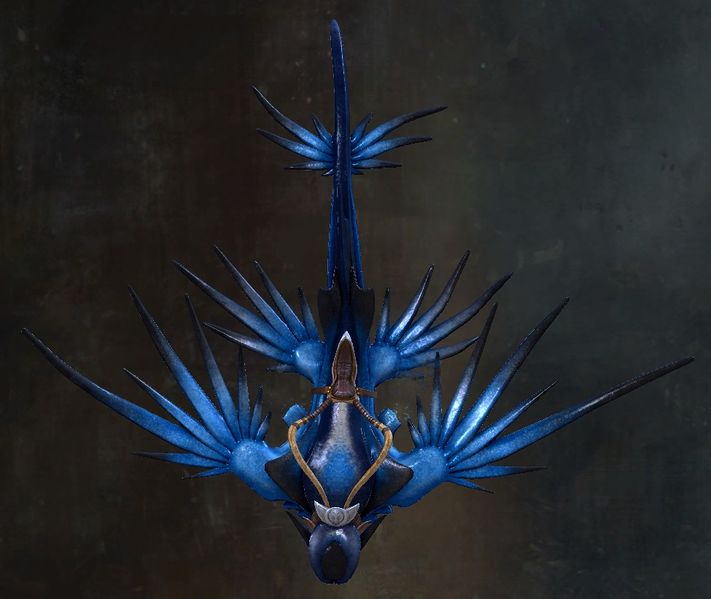 File:Open Ocean Glaucus 2.jpg