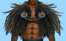 Raven Mantle.jpg