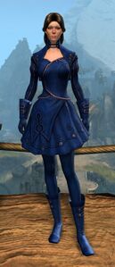 Appearance on light armor.