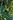 Sentinel Bay map.jpg