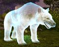 Spectral Bear.jpg