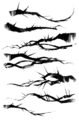 Thumbnail for version as of 20:24, 13 January 2016