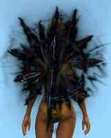 Dark Matter Shield.jpg