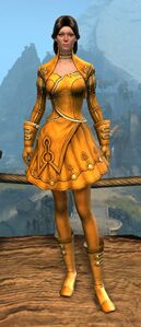 Appearance on light armor.