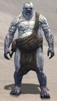 Jotun unarmed.jpg