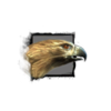 Hawk