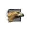 Juvenile Hawk.png