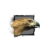 Juvenile Hawk.png