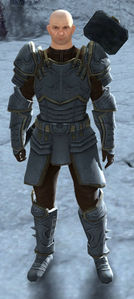 Mercenary Captain.jpg