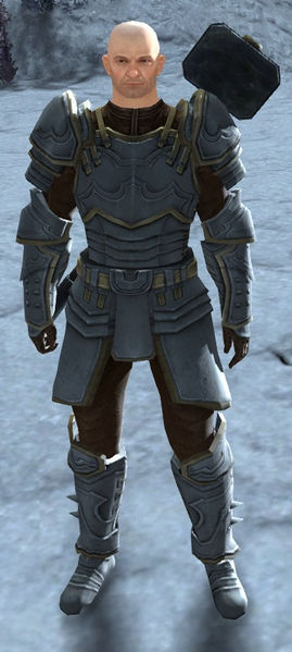 File:Mercenary Captain.jpg