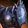Pearlshell Selection Box.png