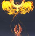 Phoenix emote