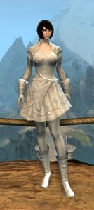 Appearance on light armor.
