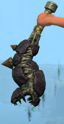 Sclerite Warhorn.jpg
