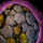 Skyscale Egg 17.png
