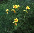 Thumbnail for version as of 17:14, 15 April 2017