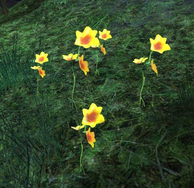 File:Unidentified Plant (yellow).jpg
