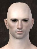 Unique human male face front 7.jpg