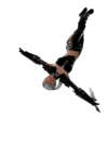 User Eive WindgraceThief.png