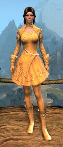 Appearance on light armor.