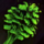 Cultivated Cilantro Leaf.png