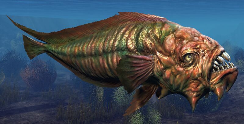 File:Gulper Fish.jpg