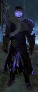 Hallucination (Nightmare Fractal Warrior).jpg