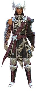 Illustrious armor (medium) human male front.jpg