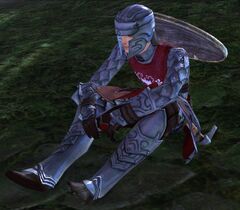 Ministry Guard Packmaster.jpg
