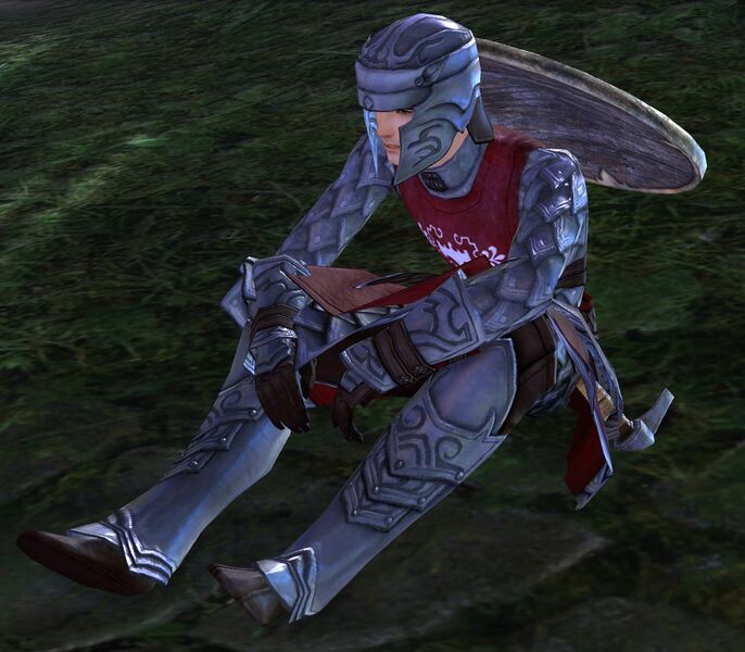 File:Ministry Guard Packmaster.jpg