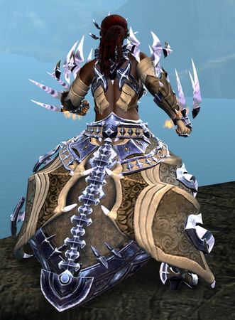 Back view in combat stance