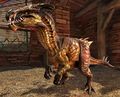 Raptor (NPC).jpg