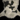 Torn Pelt.png