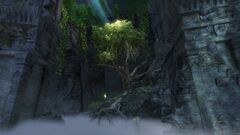 Tree of Solitude.jpg