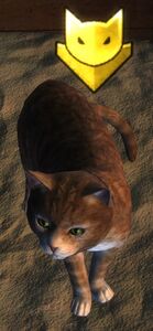 Yellow Catmander.jpg