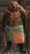 Brown Lowland Kodan (towel).jpg
