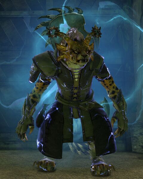 File:Champion Luccia Wildeye.jpg