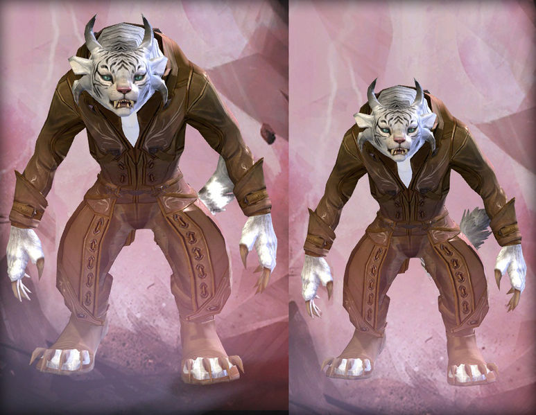 File:Charr female height.jpg