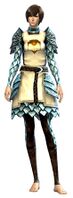 Guild Defender armor human female front.jpg