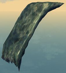 Ice Slide.jpg