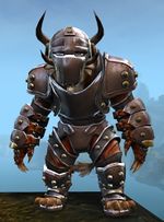 Ironclad Outfit