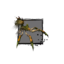 Juvenile Forest Spider.png