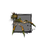 Juvenile Forest Spider.png